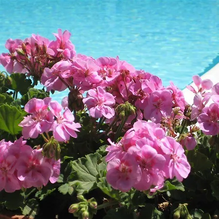 Margherita 4* Golfo Aranci